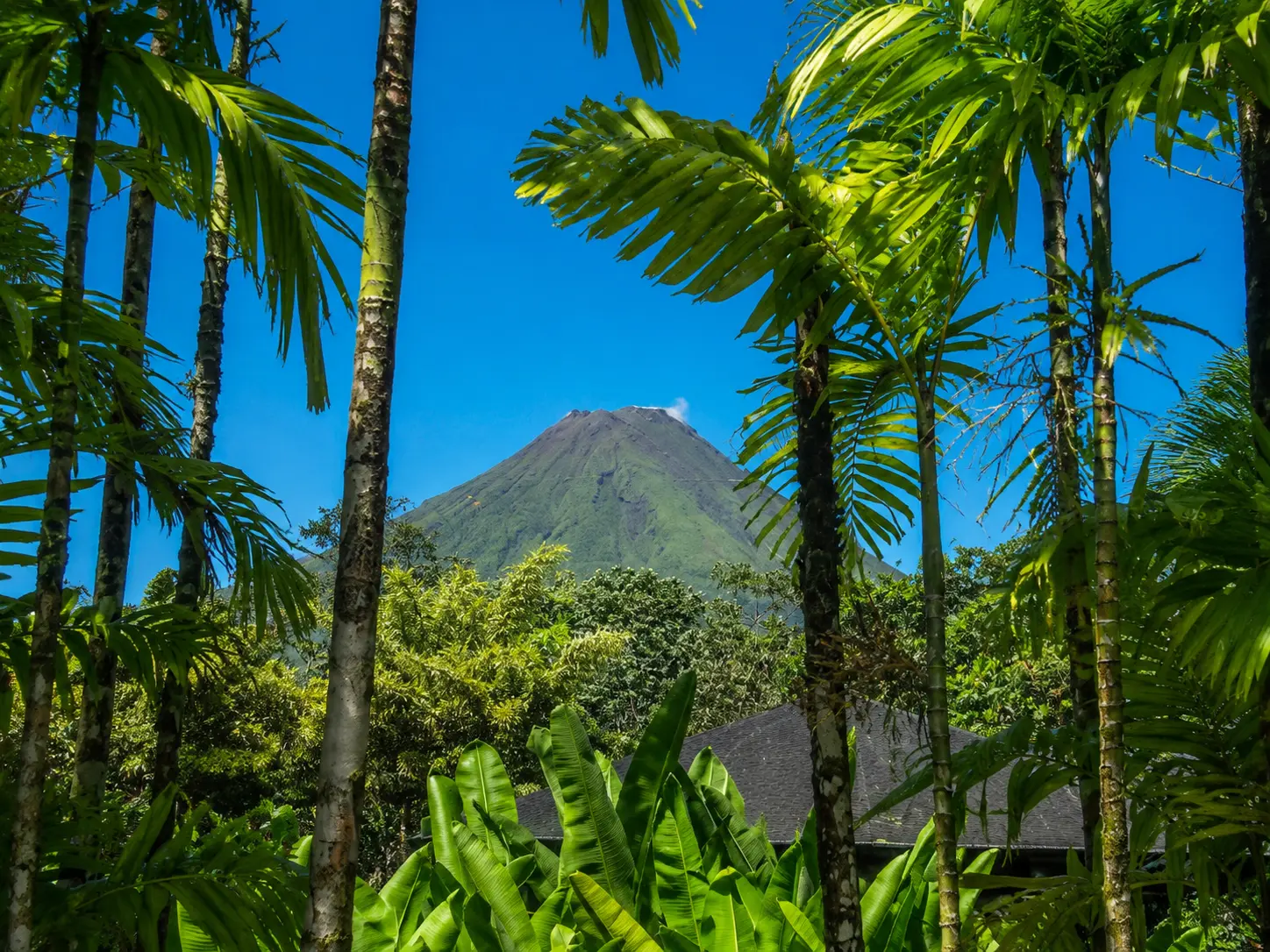 Views of Arenal